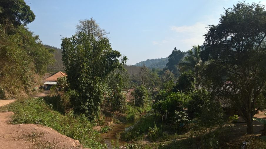 Luang Namtha Laos Trekking