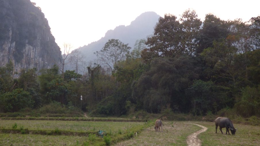 Laos Vang Vien caves